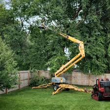 Best Arborist Consultation Services  in Leon, IA